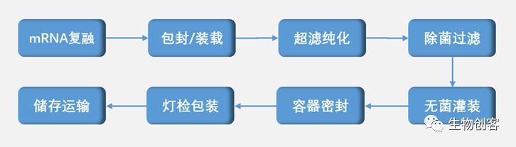 圖1.jpg