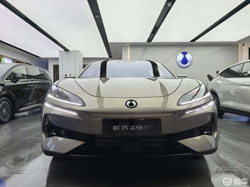 D9gt.jpg